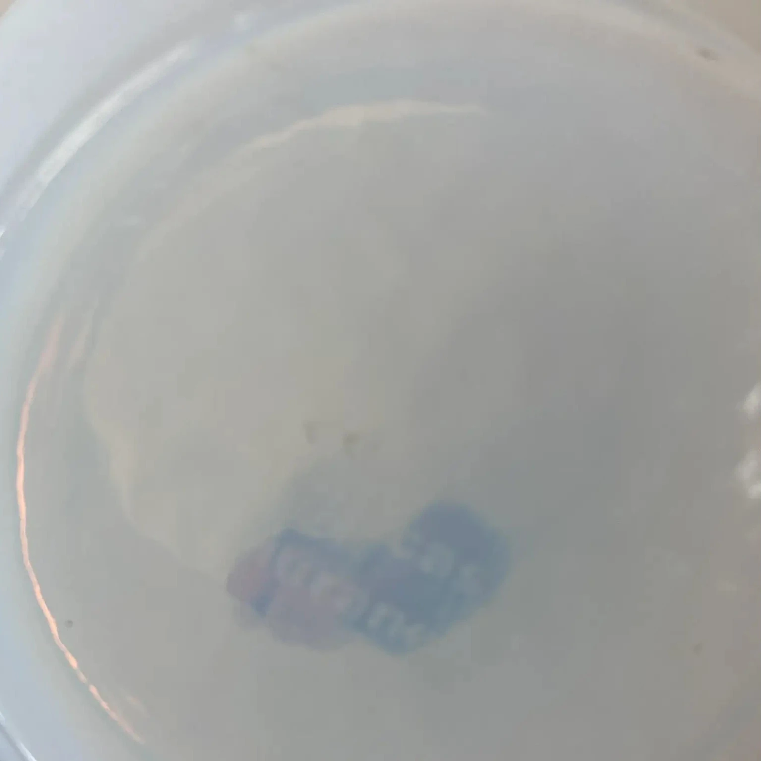 Murano Glass Vase by Yalos Casa, Italy